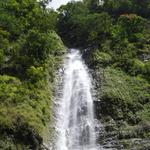 DSCN0654