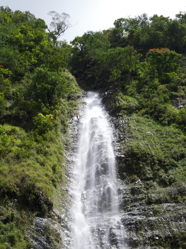 DSCN0654