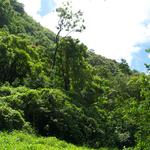 DSCN0655