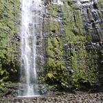 DSCN0656