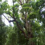 DSCN0658