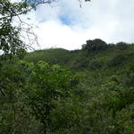 DSCN0659