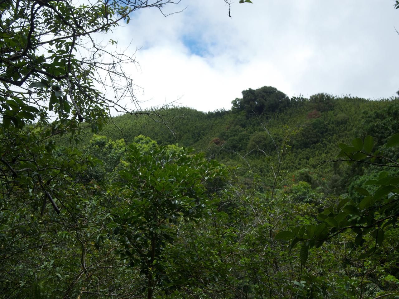 DSCN0659