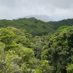 DSCN0661