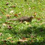 DSCN0664