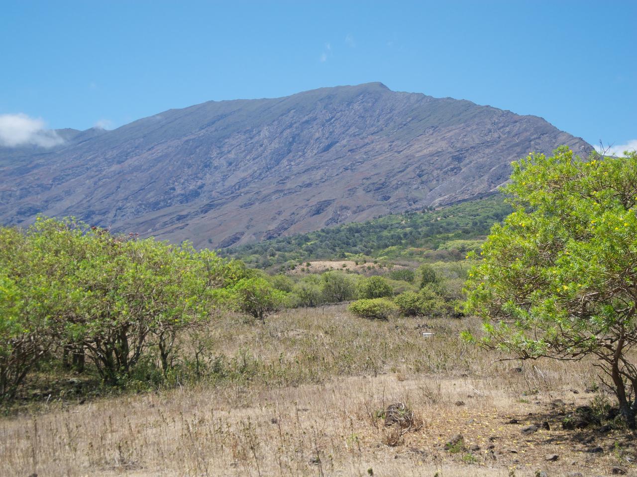 DSCN0705