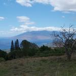 DSCN0728