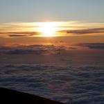 DSCN0782