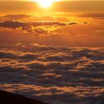 DSCN0786