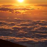 DSCN0787