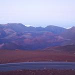 DSCN0803