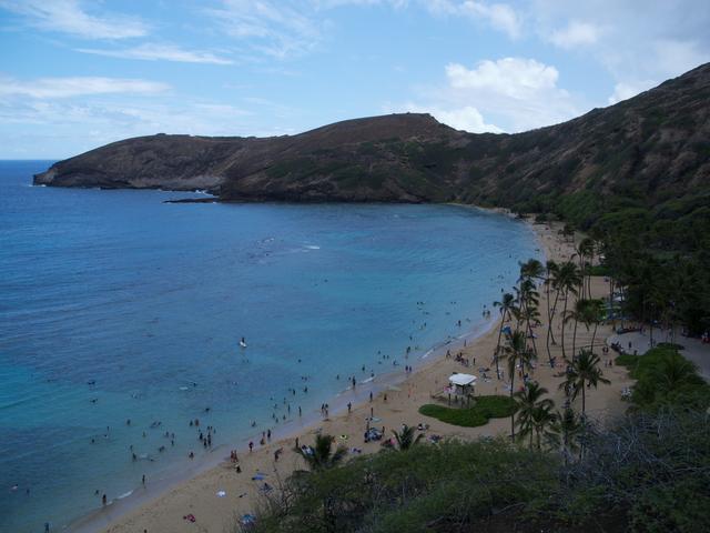 DSCN0226