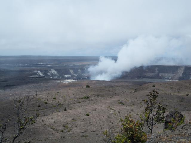 DSCN0252