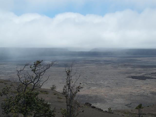DSCN0253
