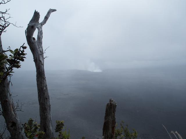 DSCN0260