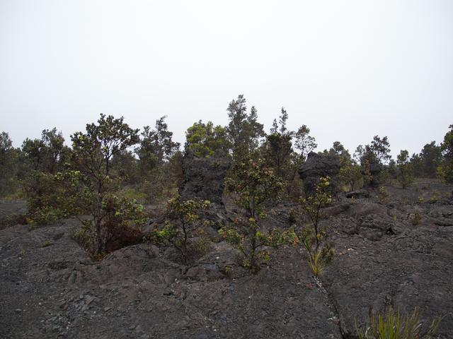 DSCN0269