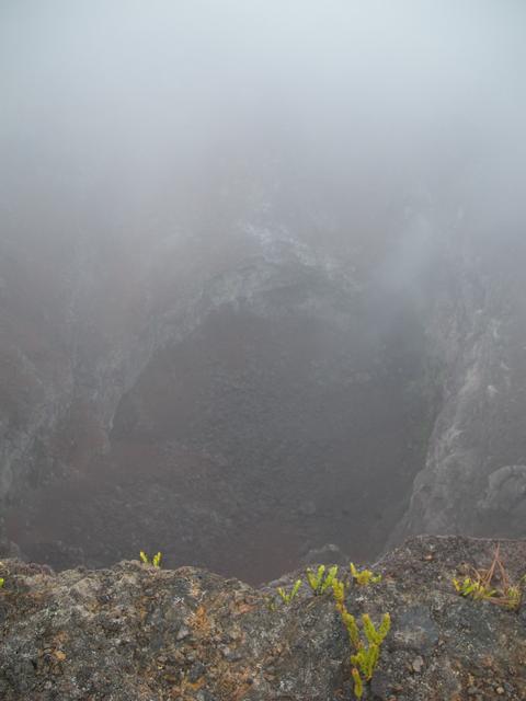 DSCN0277