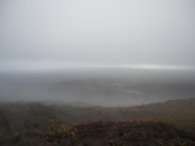 DSCN0279