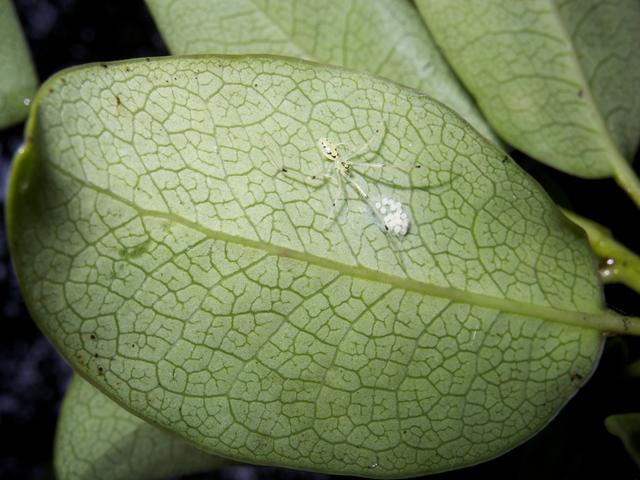 DSCN0292