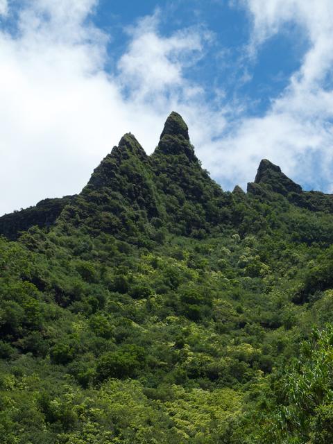 DSCN0374