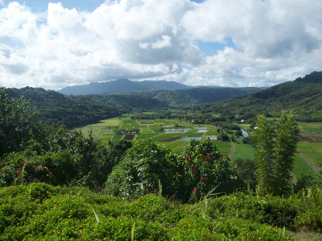 DSCN0500