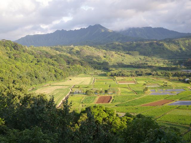 DSCN0511