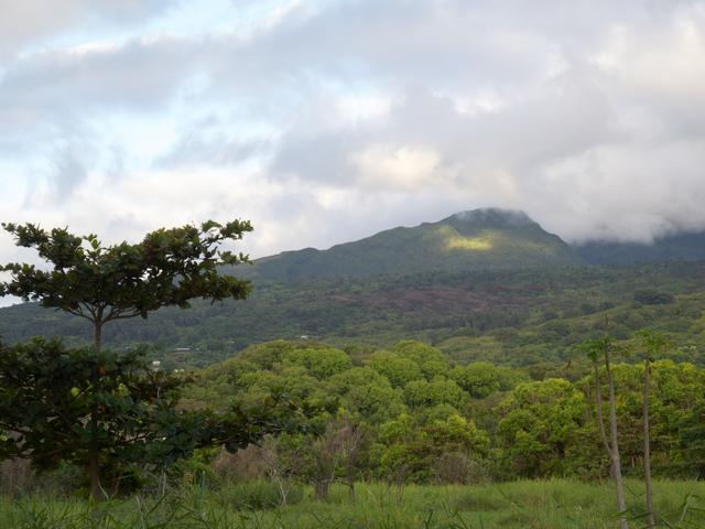 DSCN0554