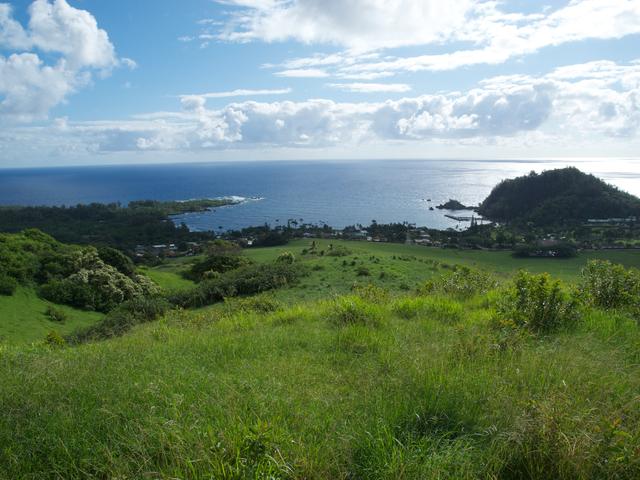 DSCN0568