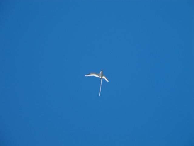 DSCN0585