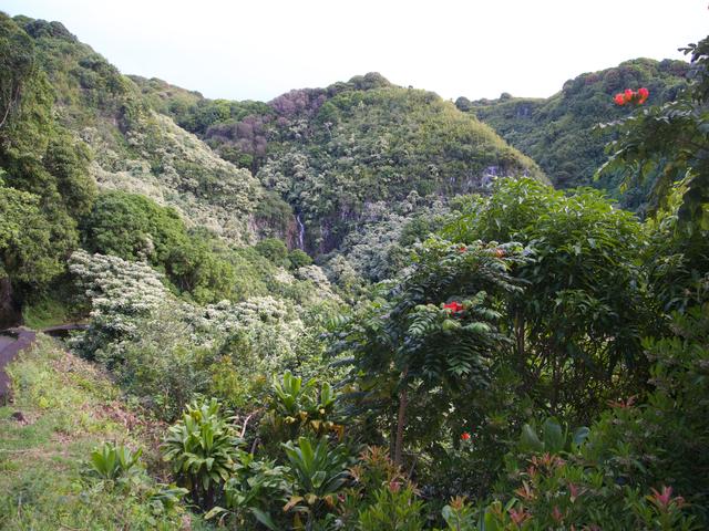 DSCN0617