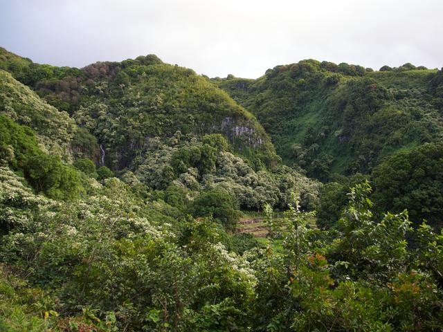 DSCN0619