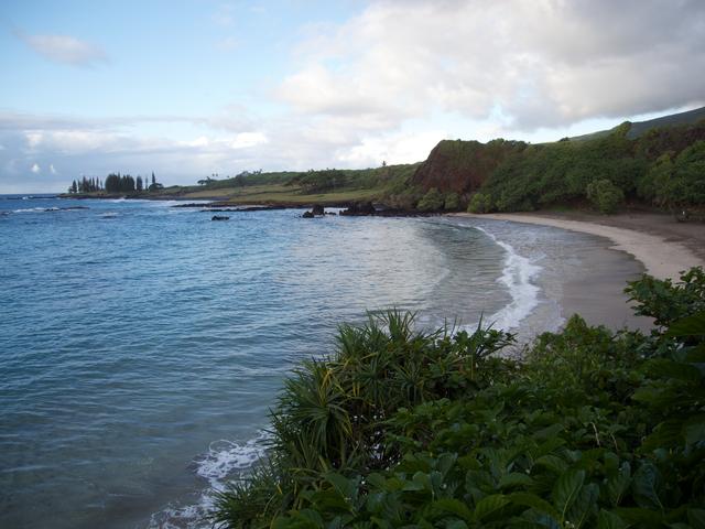 DSCN0623