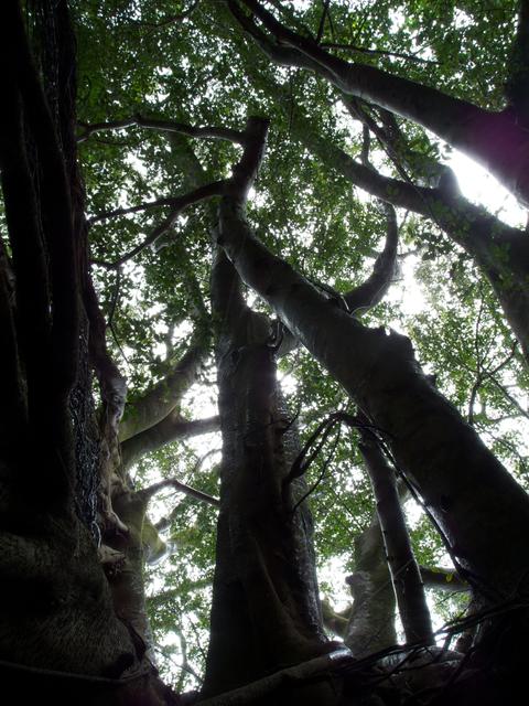 DSCN0632