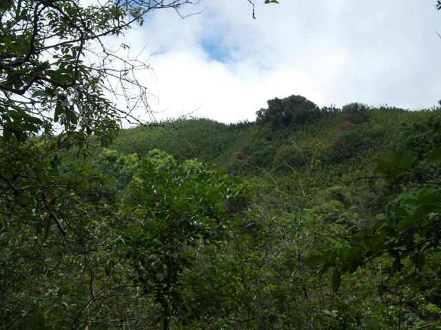 DSCN0659