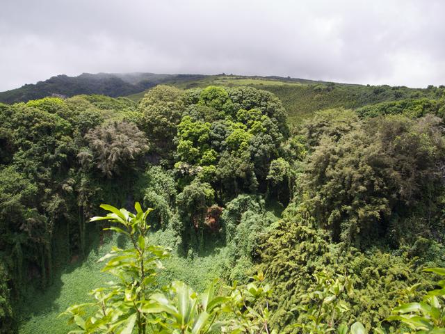 DSCN0660