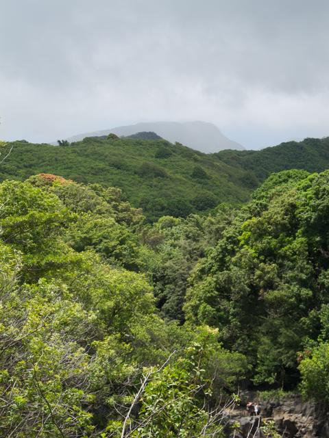 DSCN0661