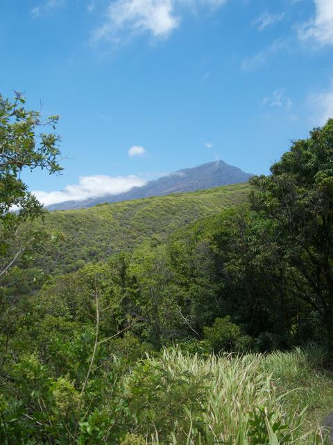 DSCN0699