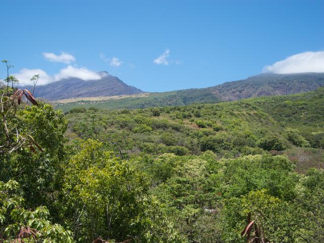 DSCN0701