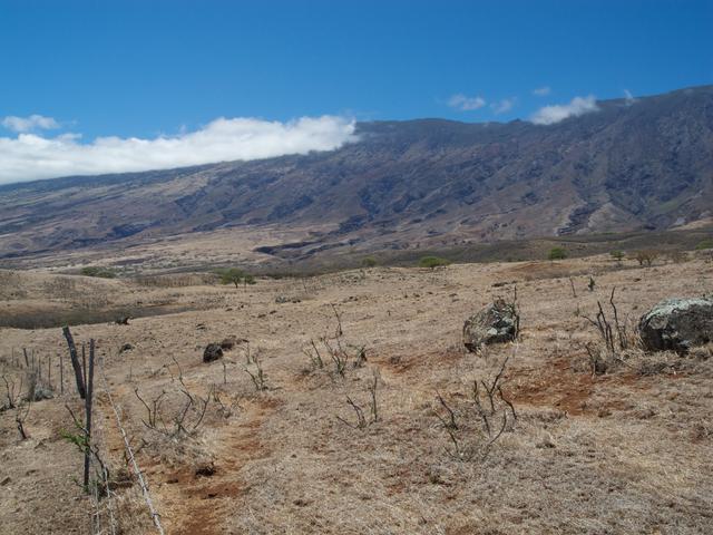 DSCN0708