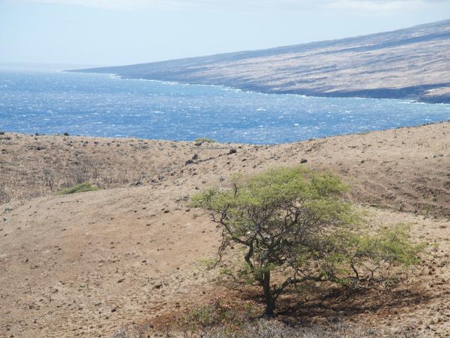 DSCN0709