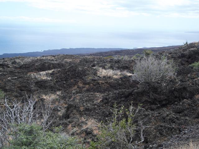 DSCN0719