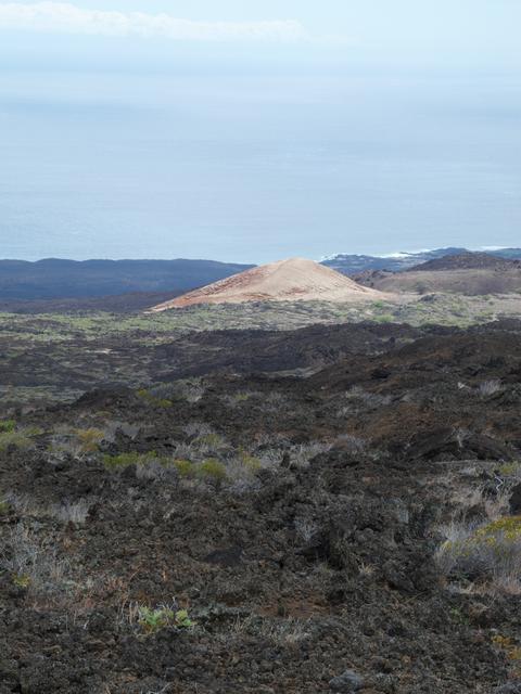 DSCN0721