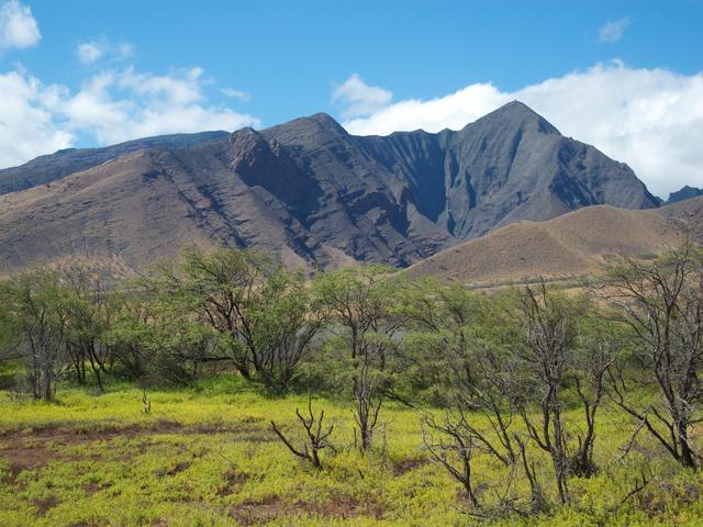 DSCN0729
