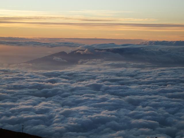 DSCN0781