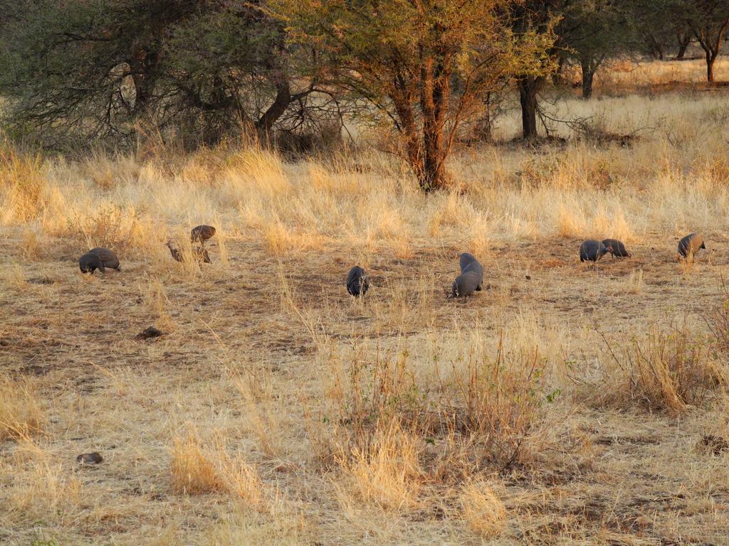 DSCN2131