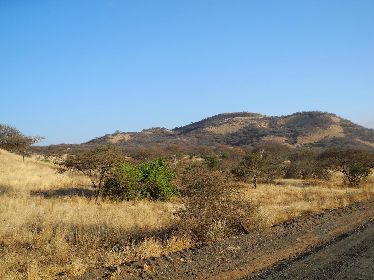 DSCN2143