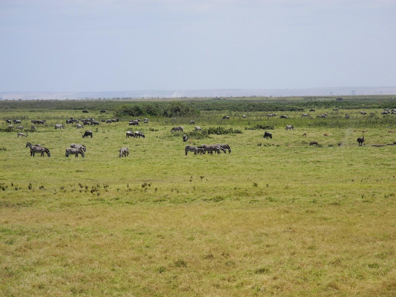 DSCN2176