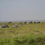 DSCN2207