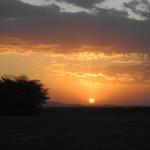 DSCN2271