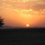 DSCN2272